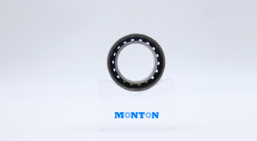 30BNR19HP4S High Precision Angular Contact Ball Bearings