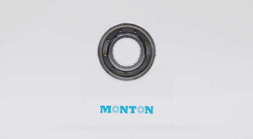 MTS6203PTSN Cryogenic bearings