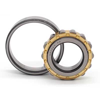 N1000 Series Cylindrical Roller Bearing