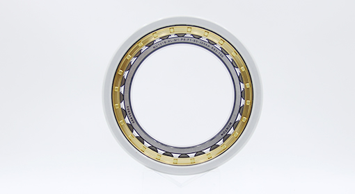 NU1016-XL-M1-P6-F1-S0-J20AA-R83-100 Insulated bearing