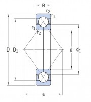 Four Point contact ball bearing