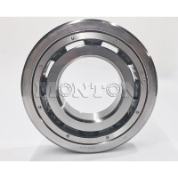 MTS6320PTSN  Low temperature bearing for LNG pump