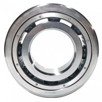 LNG Pump Bearing