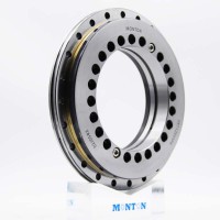 YRT120VSP Rotary Table Bearing