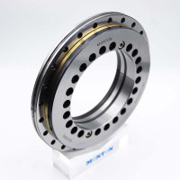 YRT120VSP Rotary Table Bearing