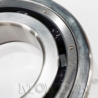 MTS6320PTSN Cryogenic bearings