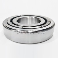 MTS6320PTSN Cryogenic bearings