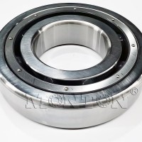 MTS6320PTSN Cryogenic bearings