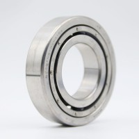 6208TN6HVHQ1P4 Cryogenic bearings