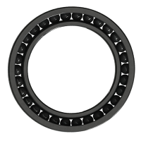 Emergency Touchdown Auxiliary Bearings