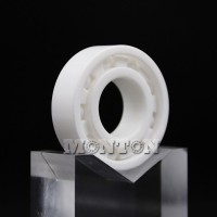 6205CF Full Ceramic Deep Groove Ball Bearing 