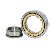NJ1000 Series Cylindrical Roller Bearing
