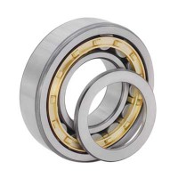 NUP2200 Series Cylindrical Roller Bearing