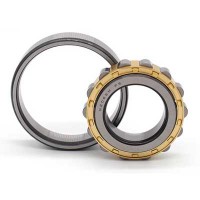 N2300 Series Cylindrical Roller Bearing